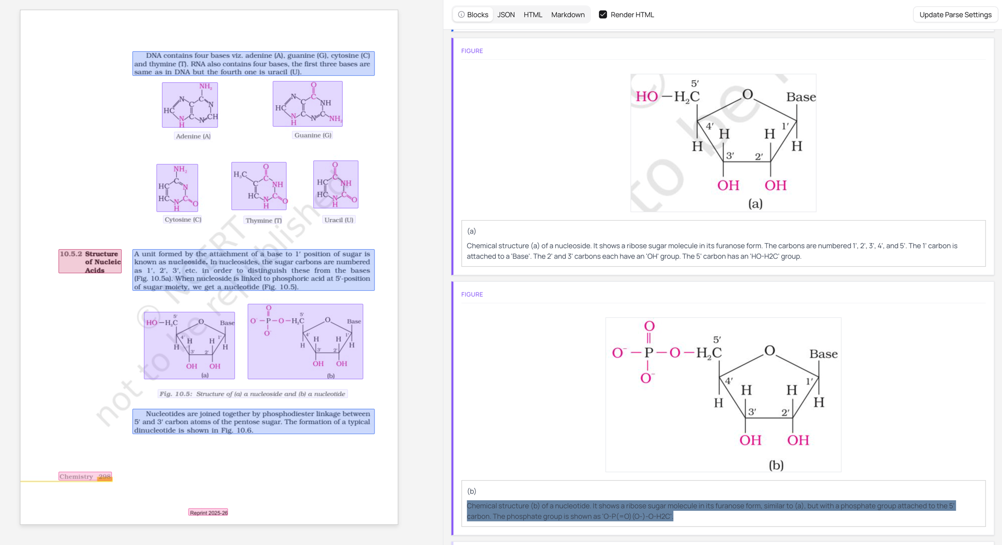 Chemistry support showing nucleic acid structures