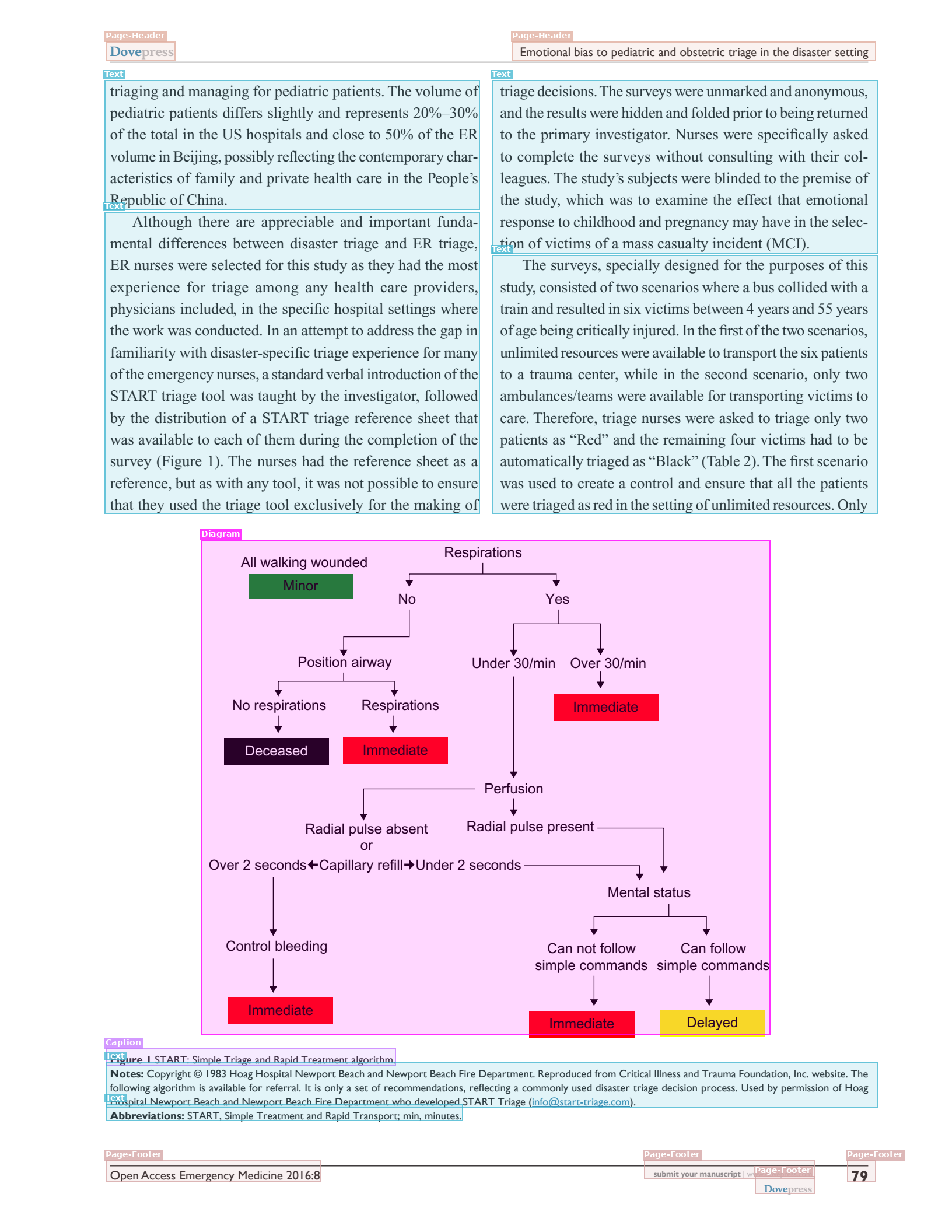 Layout blocks with color-coded bounding boxes overlaid on a document page