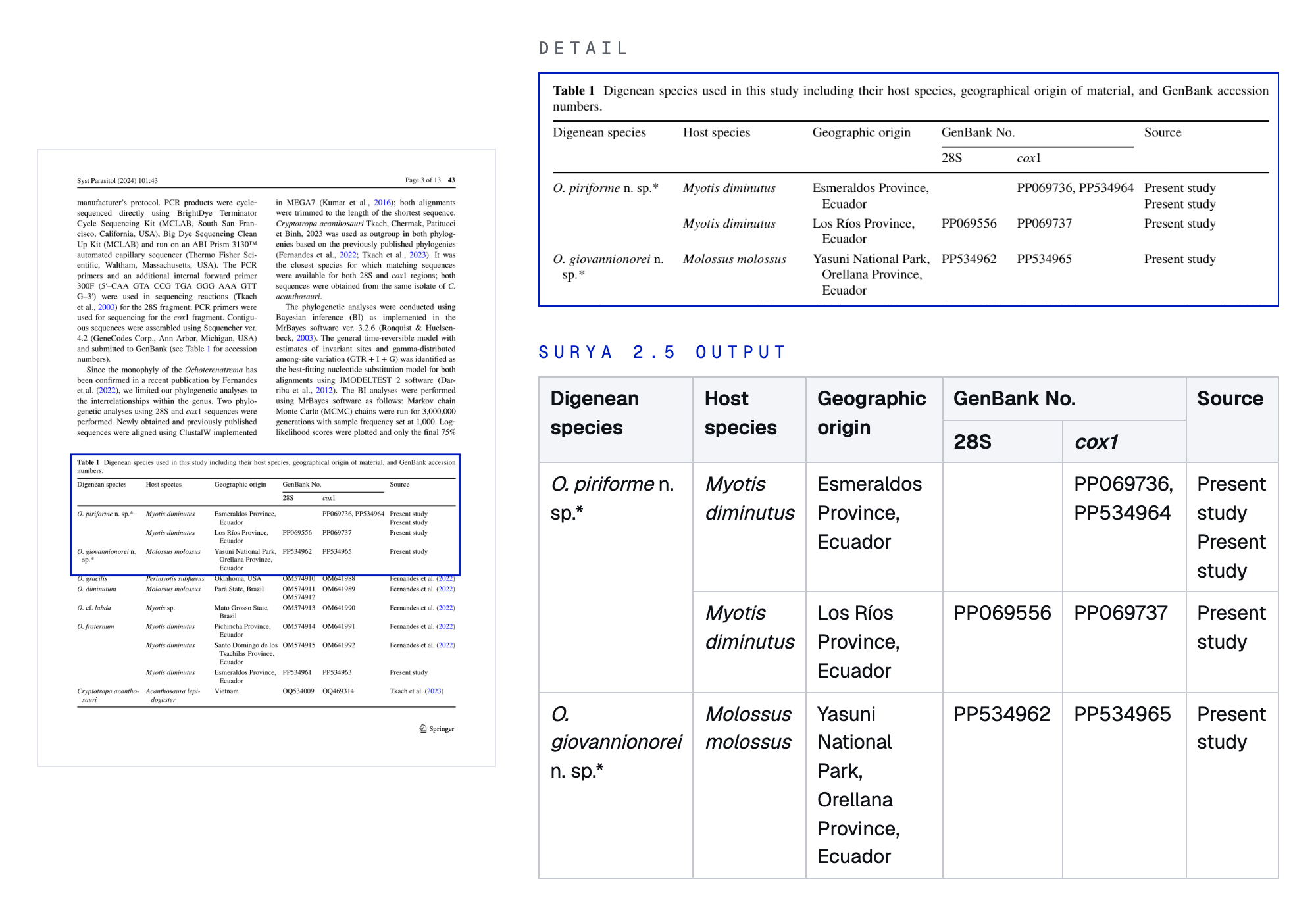A journal page with Table 1 outlined. The detail shows the table caption, a header where GenBank No. spans the 28S and cox1 columns, and three rows. The Surya 2.5 output, rendered as HTML, keeps the merged header and the species name that spans two rows.